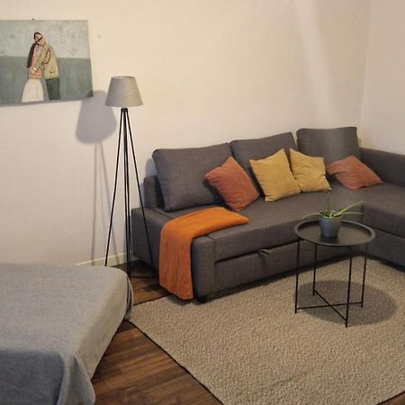 Apartman Franko- Jarun 萨格勒布 外观 照片