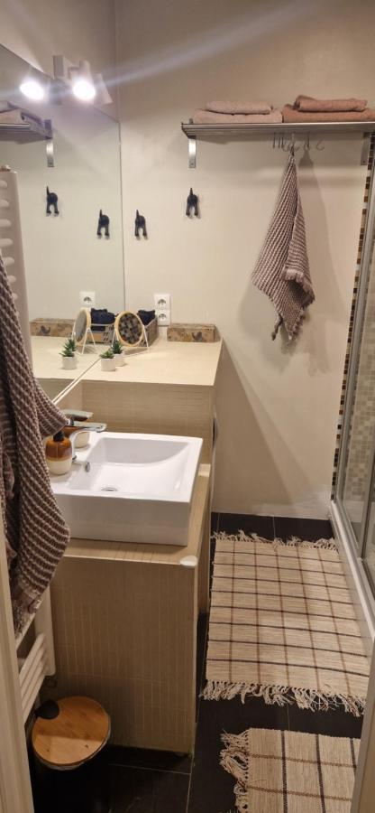 Apartman Franko- Jarun 萨格勒布 外观 照片