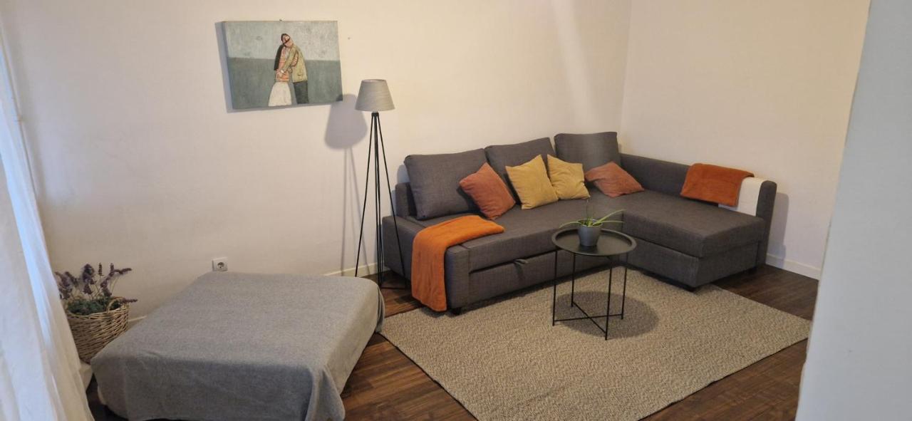 Apartman Franko- Jarun 萨格勒布 外观 照片